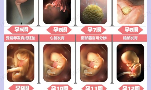 一般引产要吃几次药-权威引产用药几个小时排出孕囊平台,分享专业引产吃的药叫什么名字知识_引产具体用药量网